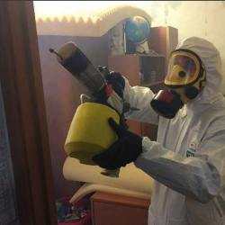 Уничтожение клопов в квартире. Менделеевск